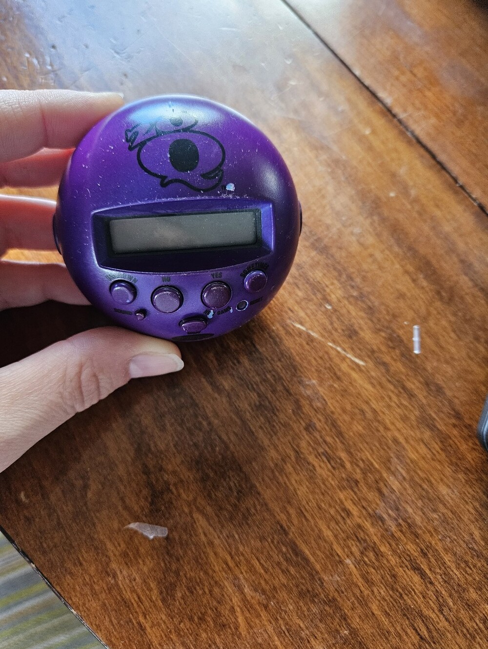 2007 20 Questions Handheld Game